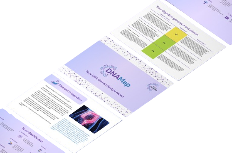 DNAMap_Flyer png-01